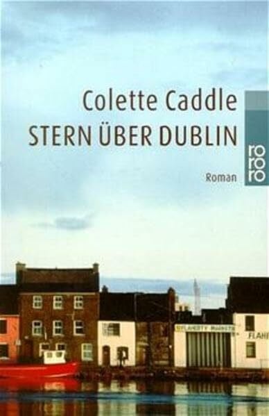 Stern über Dublin (Die Dublin-Romane)