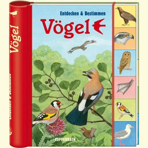 Vögel: Entdecken & Bestimmen (Kreativ- und Sachbücher)