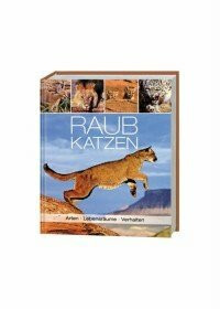 Raubkatzen - Arten, Lebenräume, Verhalten