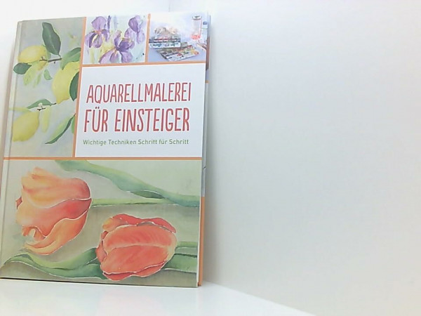 Aquarellmalerei für Einsteiger : wichtige Techniken Schritt für Schritt