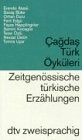 Cagdas Türk Öyküleri Zeitgenössische türkische Erzählungen: Türk. /Dt. (dtv zweisprachig)