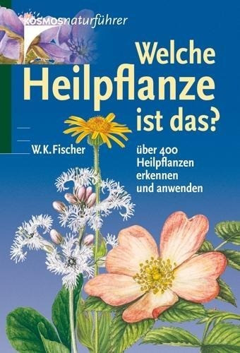 Welche Heilpflanze ist das?