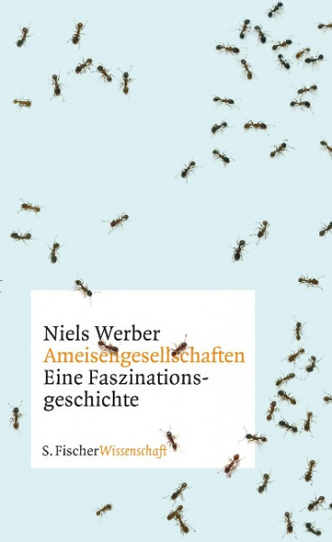 Ameisengesellschaften