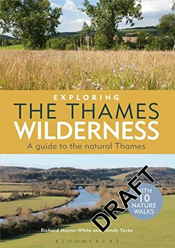Exploring the Thames Wilderness: A Guide to the Natural Thames