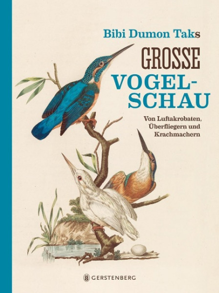 Bibi Dumon Taks große Vogelschau