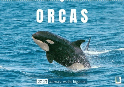 Orcas: Schwarz-weiße Giganten (Wandkalender 2023 DIN A2 quer)