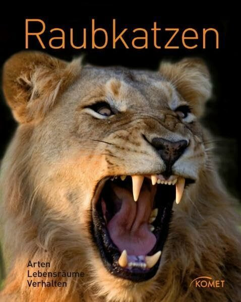 Raubkatzen: Arten, Lebensraum, Verhalten
