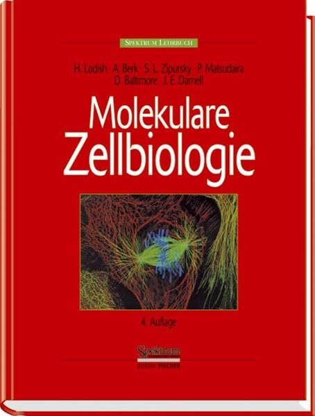 Molekulare Zellbiologie