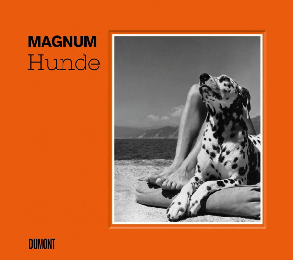 HUNDE: Fotografien aus dem Magnum-Archiv