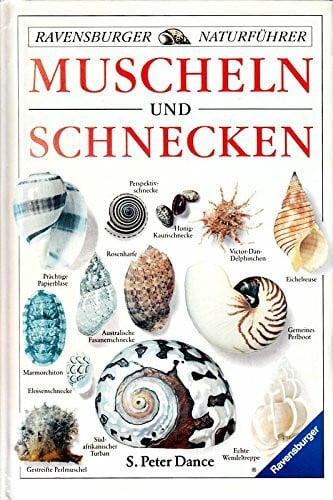 Ravensburger Naturführer: Muscheln und Schnecken