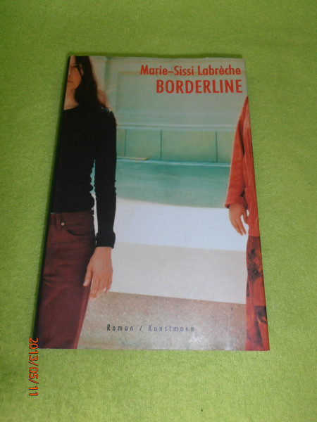 Borderline: Roman. Aus d. Französ. (Quebec) v. Hinrich Schmidt-Henkel