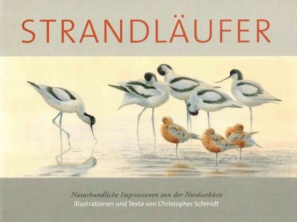 Strandläufer: Naturkundliche Impressionen von der Nordseeküste