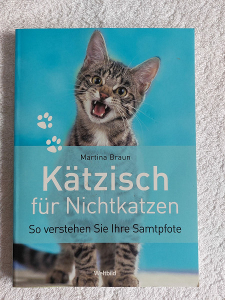 Kätzisch für Nichtkatzen: So verstehen Sie Ihre Samtpfote
