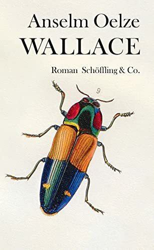 Wallace: Roman