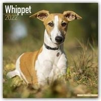 Whippets - Kleine Englische Windhunde 2022 - 18-Monatskalender mit freier DogDays-App
