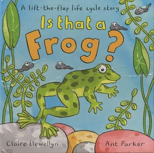 Is That A Frog? A Lift-The-Flap Lifecycle Story