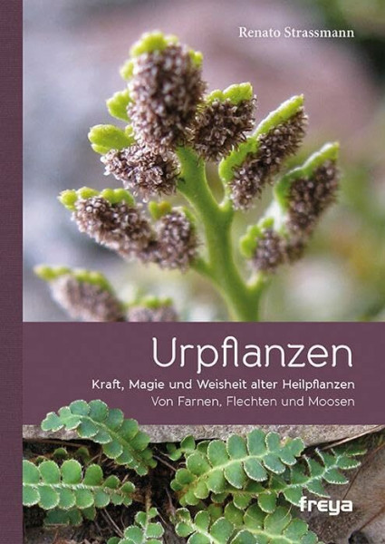 Urpflanzen: Kraft und Magie alter Heilpflanzen