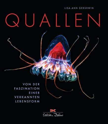Quallen: Von der Faszination einer verkannten Lebensform