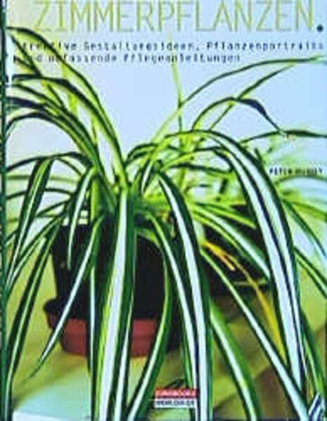 Zimmerpflanzen