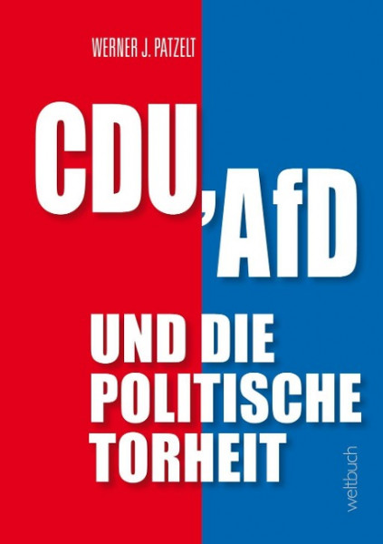 CDU, AfD und die politische Torheit