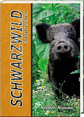 Schwarzwild Ansprechen