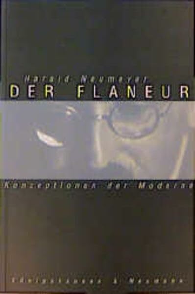 Der Flaneur: Konzeptionen der Moderne (Epistemata - Würzburger wissenschaftliche Schriften. Reihe Literaturwissenschaft)