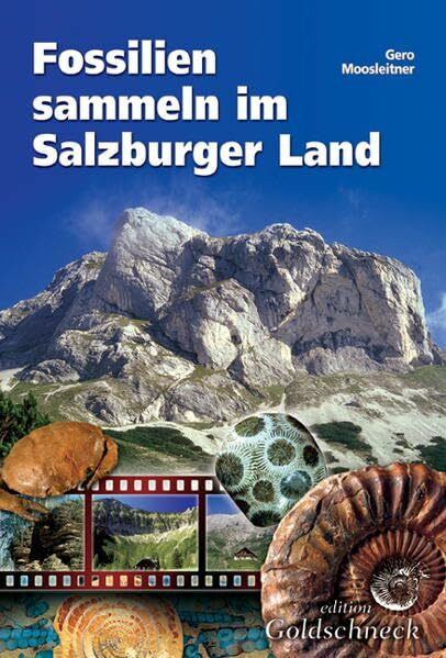 Fossilien sammeln im Salzburger Land