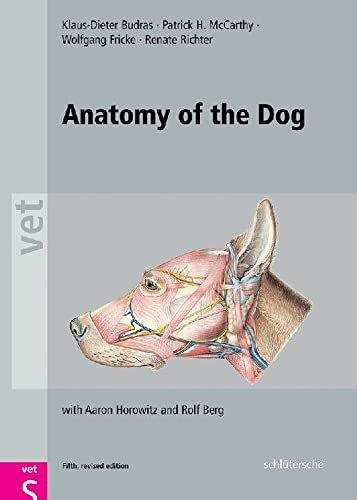 Anatomy of the Dog: with Aaron Horowitz and Rolf Berg