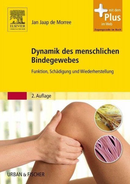 Dynamik des menschlichen Bindegewebes: Funktion, Schädigung und Wiederherstellung