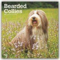 Bearded Collies 2020 - 18-Monatskalender mit freier DogDays-App