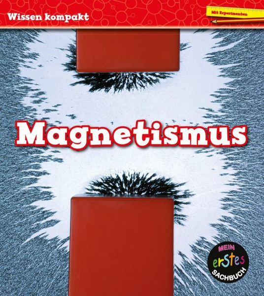 Magnetismus