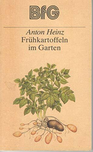 Frühkartoffeln im Garten;