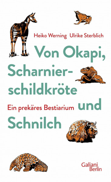 Von Okapi, Scharnierschildkröte und Schnilch: Ein prekäres Bestiarium