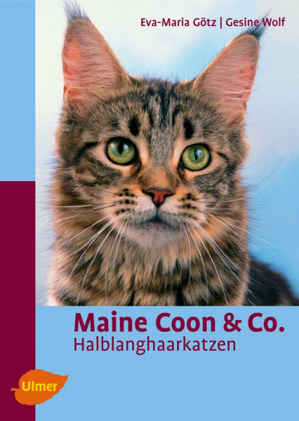 Maine Coon & Co.: Halblanghaarkatzen (Heimtiere)