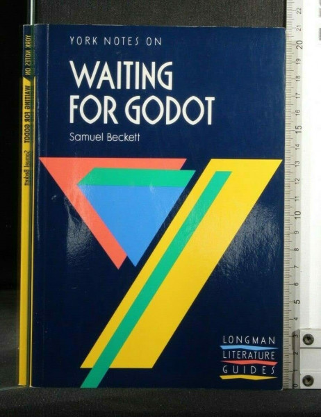 Waiting for Godot (York Notes)