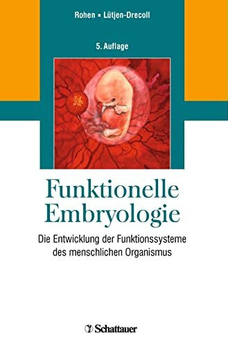 Funktionelle Embryologie: Die Entwicklung der Funktionssysteme des menschlichen Organismus