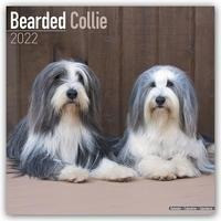 Bearded Collies 2022 - 18-Monatskalender mit freier DogDays-App