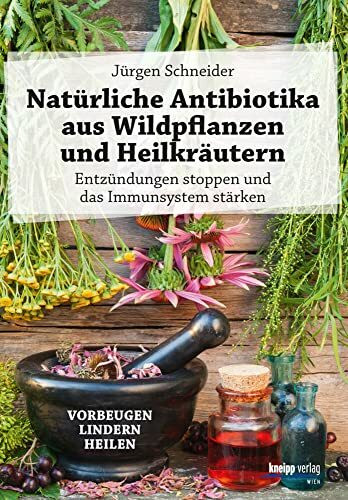 Natürliche Antibiotika aus Wildpflanzen und Heilkräutern: Entzündungen stoppen und das Immunsystem stärken