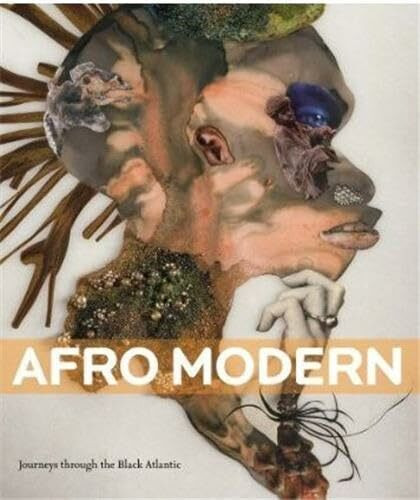Afro Modern: Journeys Through the Black Atlantic