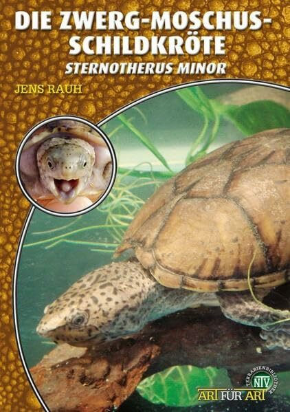 Die Zwerg-Moschusschildkröte: Sternotherus minor (Buchreihe Art für Art Terraristik)