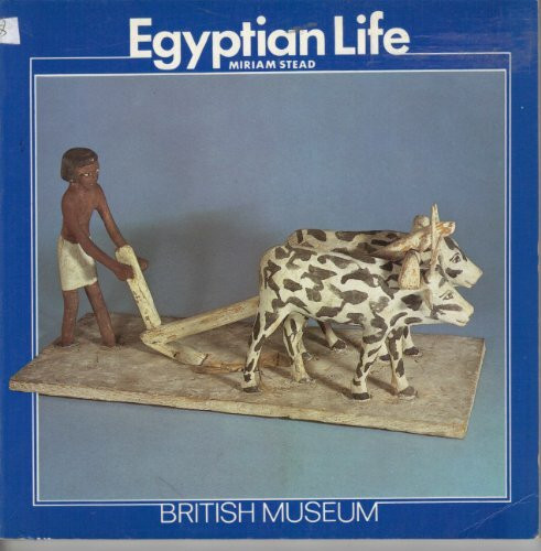 Egyptian Life (Introductory Guides)