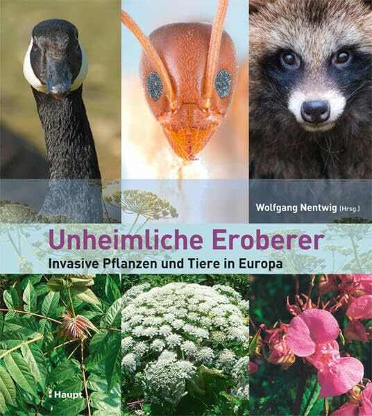 Unheimliche Eroberer: Invasive Pflanzen und Tiere in Europa