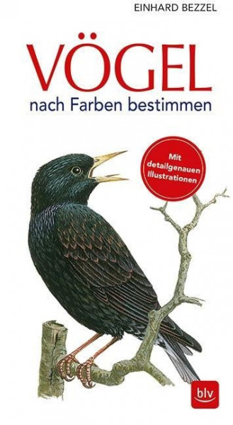 Vögel nach Farben bestimmen