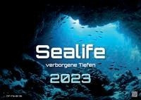 Sealife - verborgene Tiefen - 2023 - Kalender DIN A2