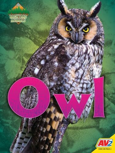 Owl (Backyard Animals)