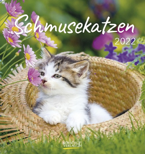 Schmusekatzen 2022