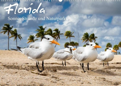 Florida - Sonne, Strände und Naturparks (Wandkalender 2022 DIN A2 quer)