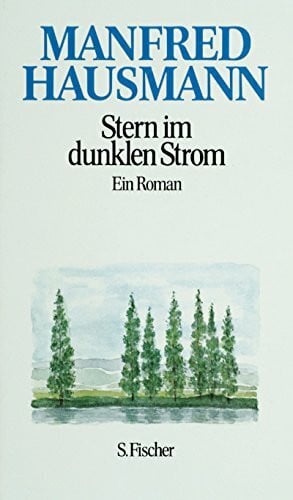 Stern im dunklen Strom. Ein Roman