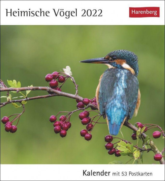 Heimische Vögel 2022