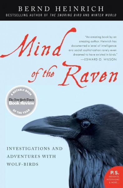 Mind of the Raven: Investigations and Adventures with Wolf-Birds